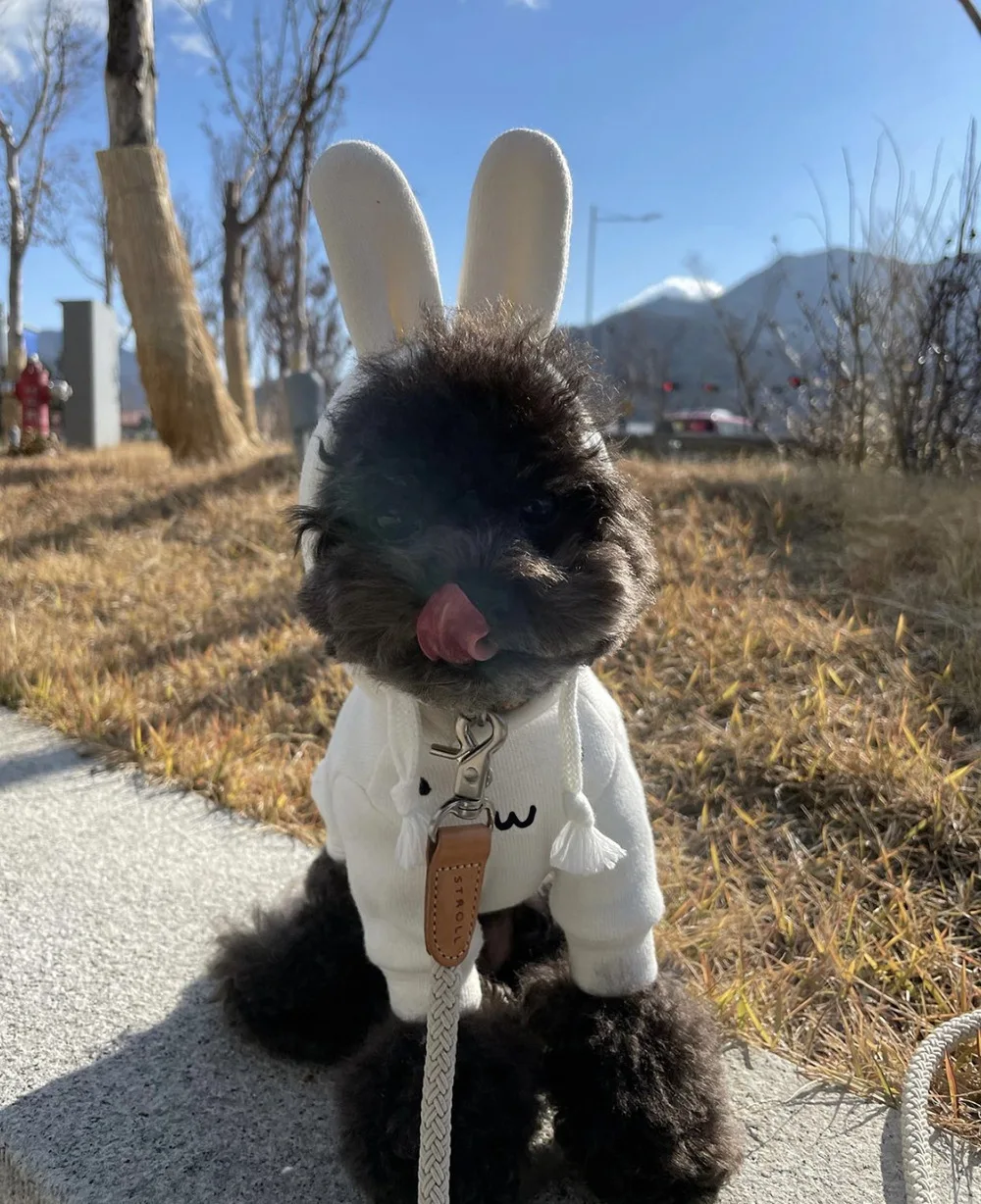 Sudadera con capucha de orejas de oso de conejo, suéter de algodón cálido y grueso de terciopelo, abrigo de expresión de dibujos animados, moda, Ins, invierno, nuevo - imagen 5