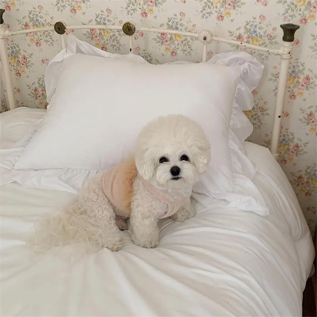 unknown_336818655_611914387618