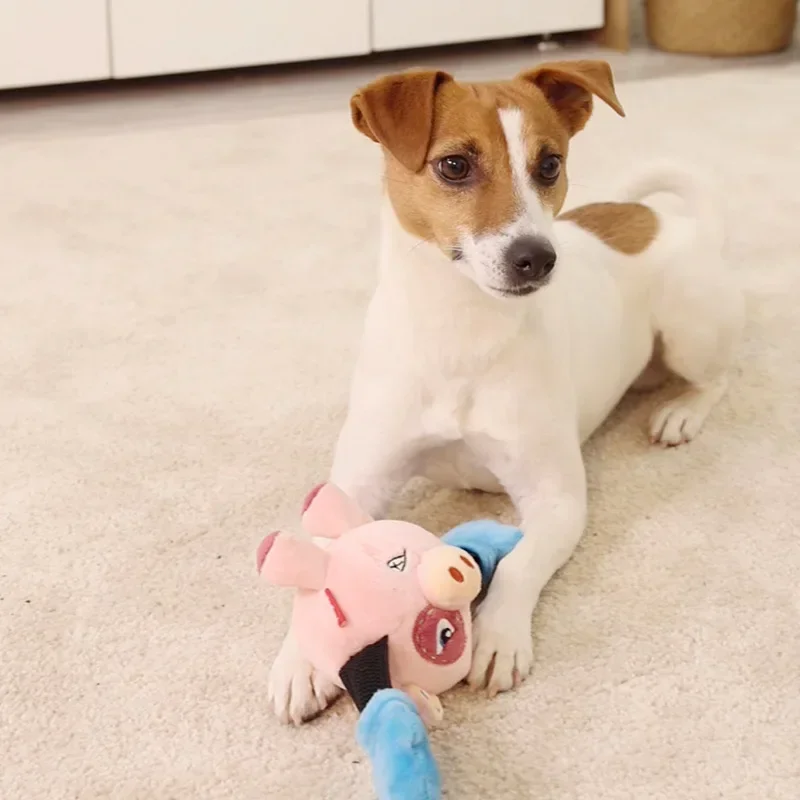 Nueva serie Boxer juguetes para perros cerdo interactivo Tug of War felpa sonido resistente a mordeduras cachorro auto-alto juguetes para mascotas productos para mascotas