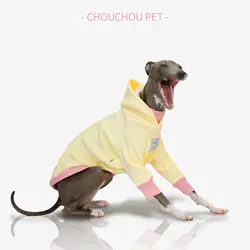 Sudadera con capucha para Whippet y galgos italianos – Perros pequeños y medianos