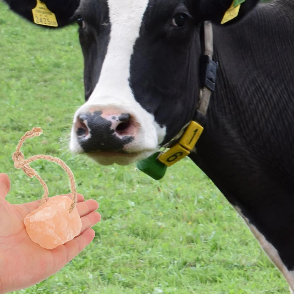 Jaula colgante de piedra Mineral Natural Irregular aleatoria, decoración, juguete para masticar para animales pequeños, mascotas, hámster, conejo, pájaros, rechinar los dientes, 1 ud. - imagen 5