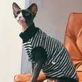 Black-Gray