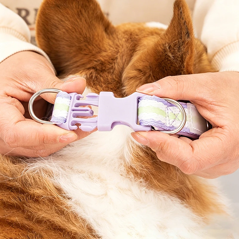 Collares ajustables para perros - duraderos para todas las tallas - imagen 3
