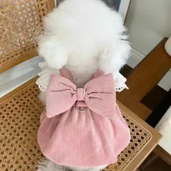 Vestido de pana para gatos pequeños - Color calabaza, invierno