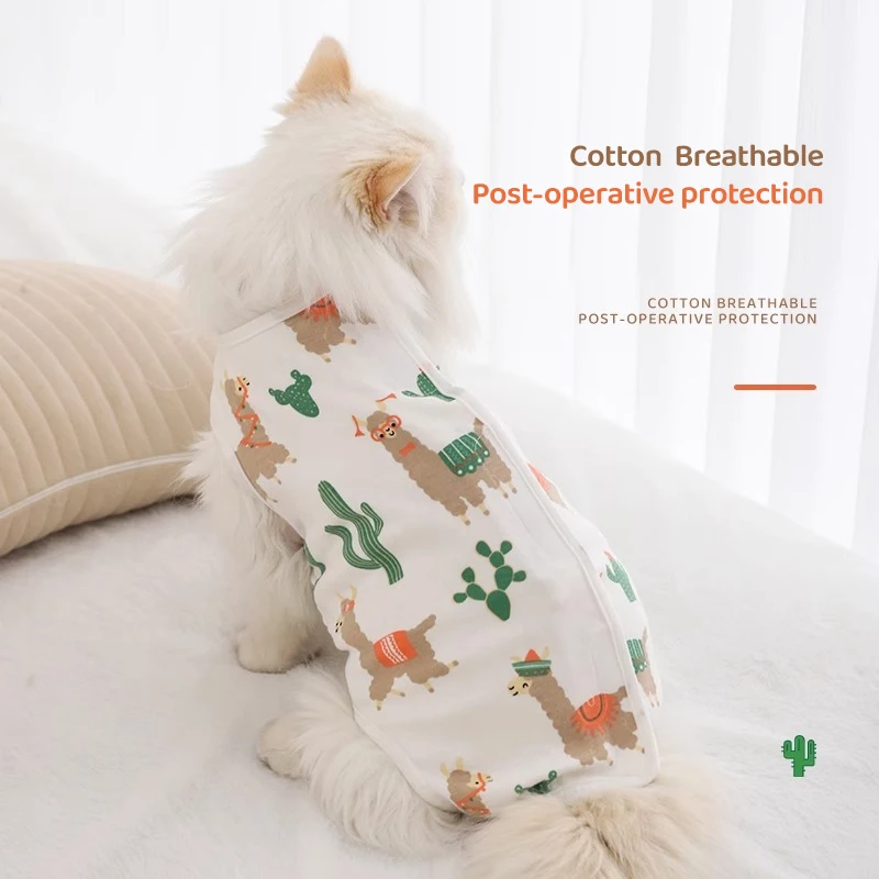 HOOPET-traje de cirugía para gato, ropa de recuperación Post Spay, diseño de dinosaurio/cáscara de huevo/Cactus, transpirable, ligero, suave, cuello electrónico, Alternat - imagen 2