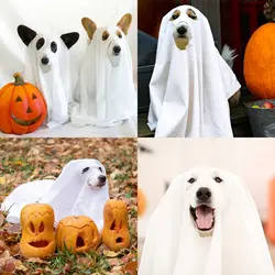 Disfraz fantasma Halloween para perros y gatos – Capa