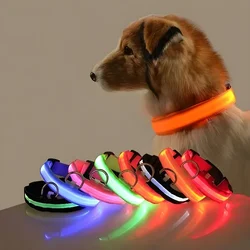 Collar LED seguridad para perros – Luz intermitente y visibilidad