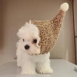 Gorra térmica de peluche para perros y gatos – Cubre orejas invierno