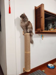 Poste rascador de pared para gatos grandes - madera gruesa y estable