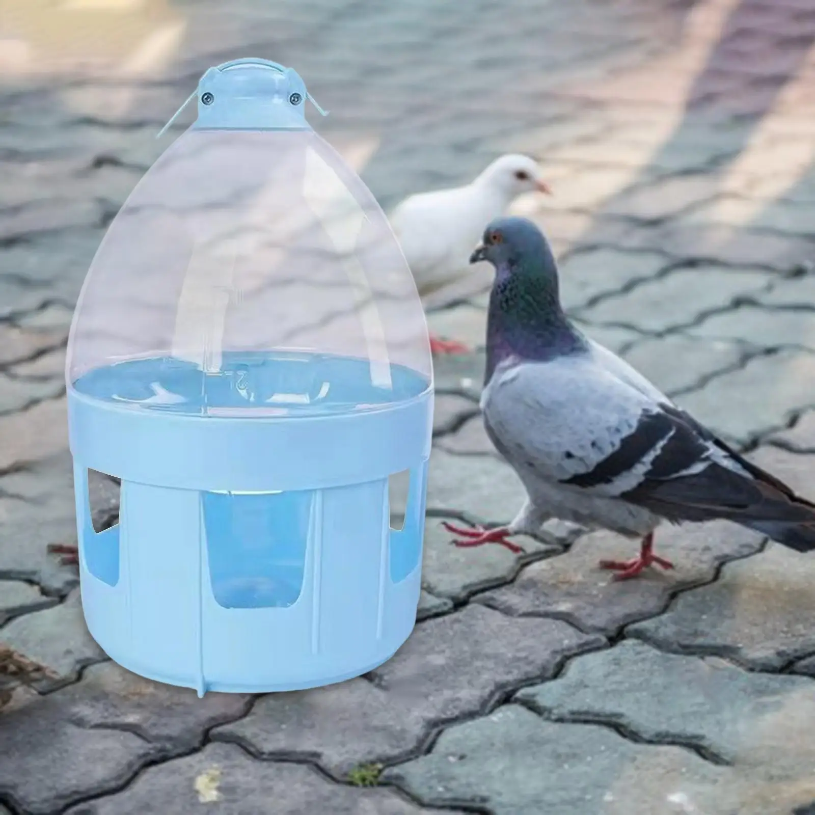 Pigeon Automatic Water Feeder Accessories Pigeon Feeder Hanging Pigeon Feeder Waterer for Quail Duck Parakeet Canary Outdoor