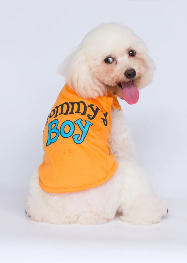 Accesorios ropa perros - Detalle sistema de cierre