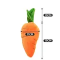 small carrot
