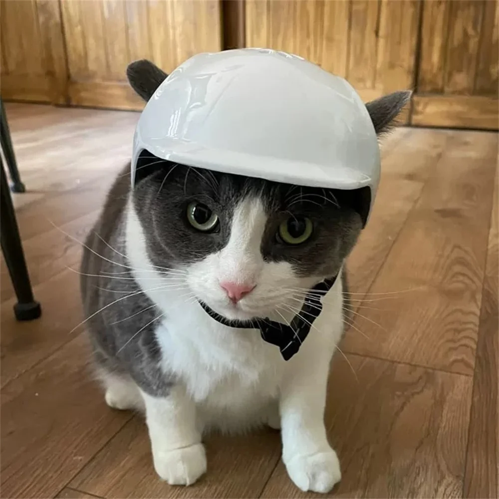 Casco de montar grueso para perros y gatos, gorro de seguridad para motocicleta, para gatos, perros, Sphynx, gatitos, cachorros al aire libre, accesorios para mascotas