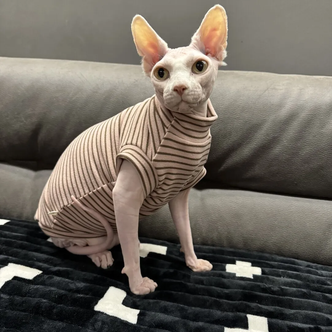 Disfraces de gato Camiseta de manga corta de rayas de algodón para Sphynx Sudadera cálida de gato para gatitos Abrigo grueso para Devon Rex en invierno - imagen 3