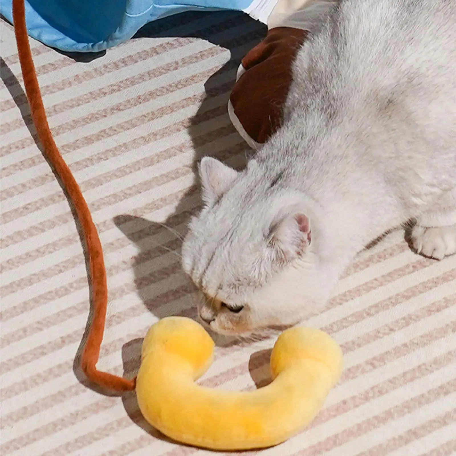 Cat Tunnel Bed Foldable with Removable Washable Mat for Outdoor Bunny Cats