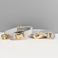 Cat collar Leash