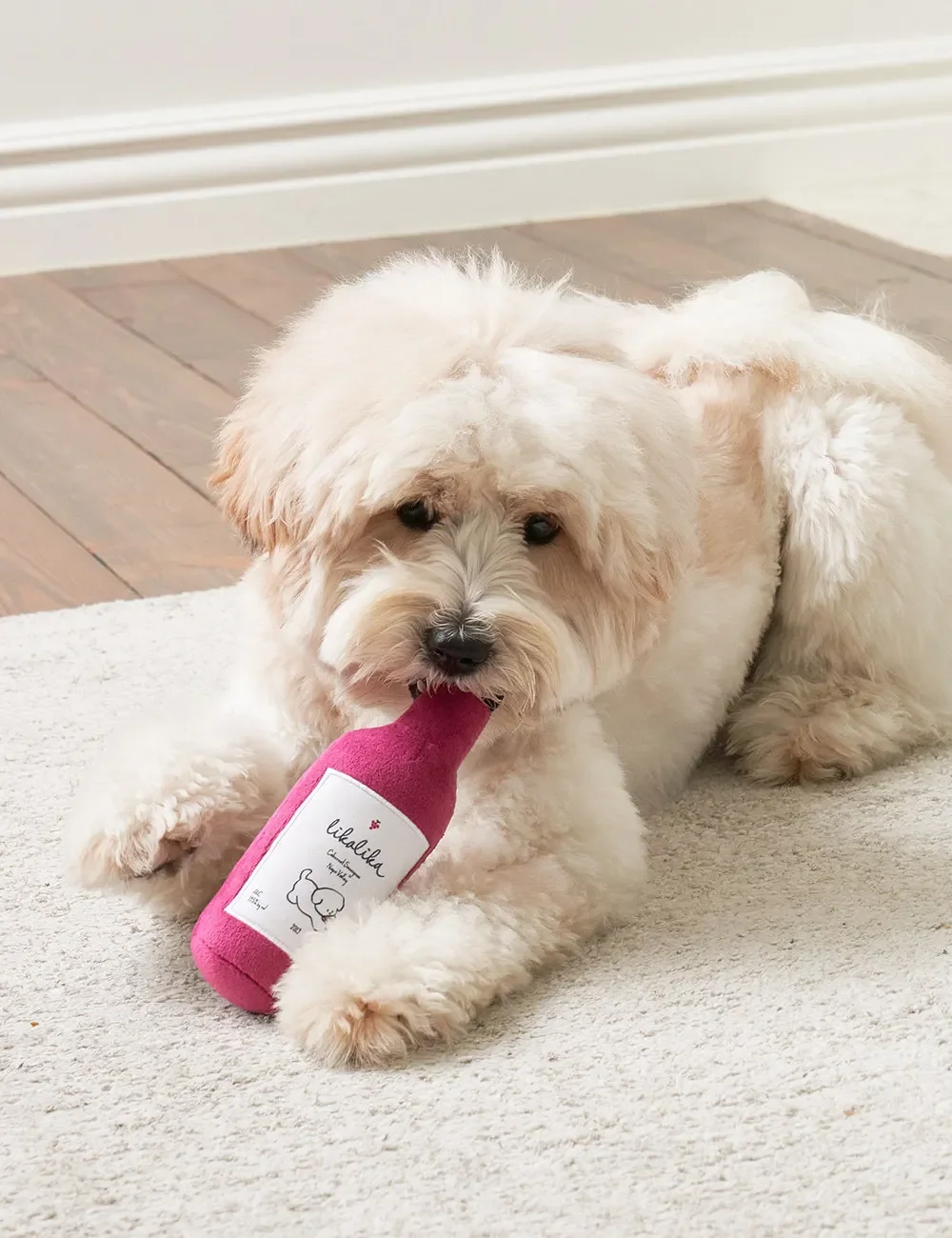 Juguete de perro chirriante para mascotas, juguete de peluche con olor a nariz, imitación de botella de vino, accesorios de fotografía, regalo de cumpleaños, accesorios para cachorros, nuevo - imagen 5