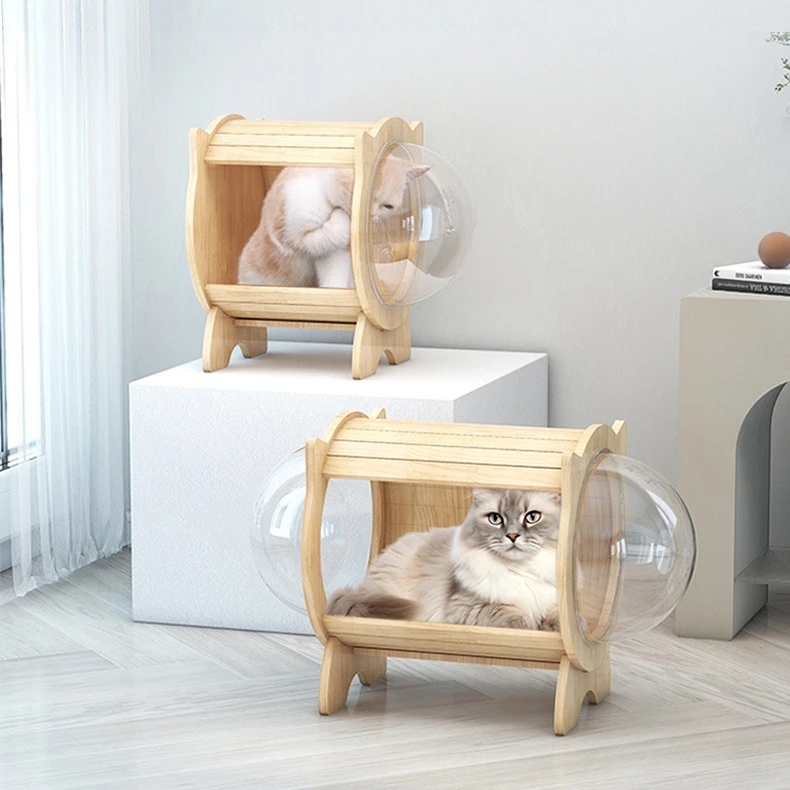 hmqViviiyNSAyin8WuaTtzXTm10HqzMkjqpc