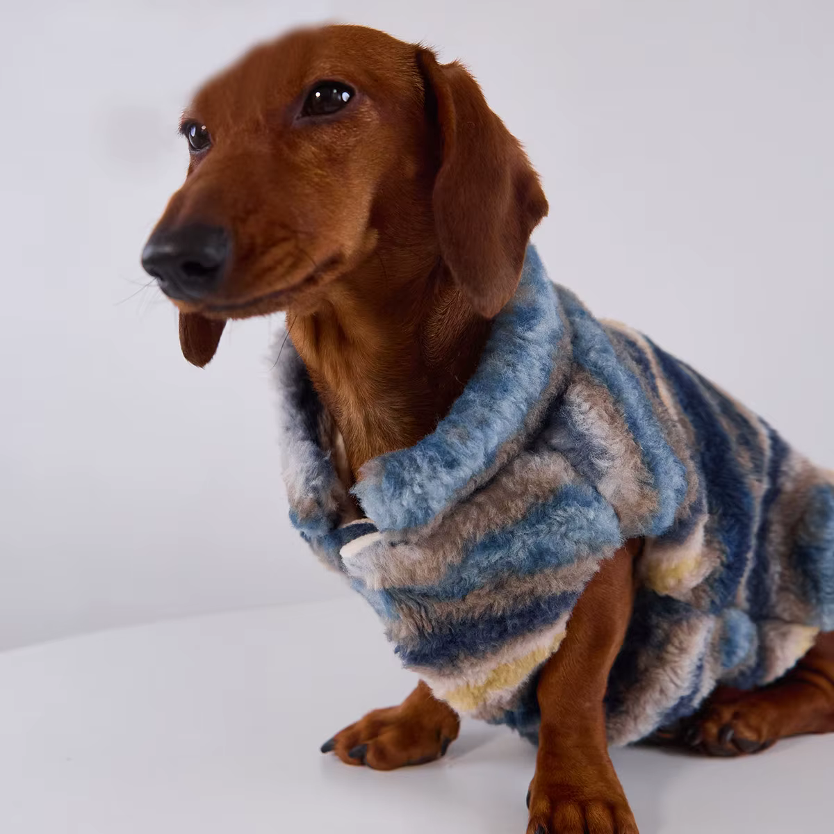 Cardigan de rayas azules para perros salchicha – Abrigo otoño invierno - imagen 3