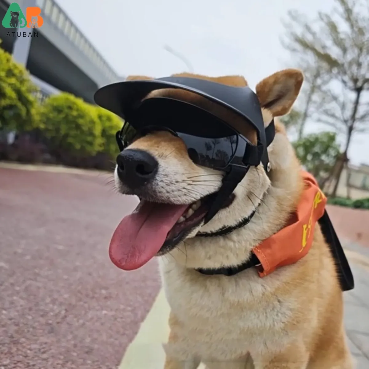 ATUBAN Equipo solar para perros, gafas y casco ajustables, protege de la nieve y el sol, perfecto para propietarios activos de mascotas, orificios ajustables - imagen 5