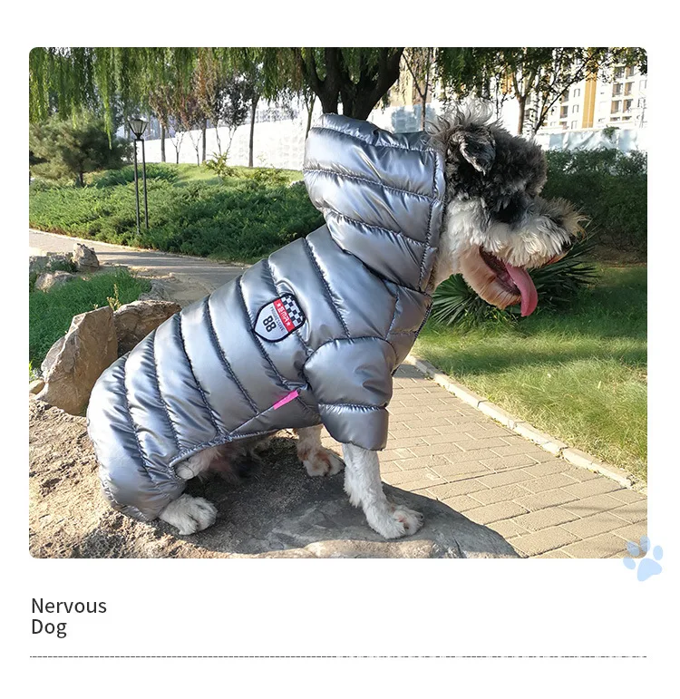 Pet clothing _22.jpg
