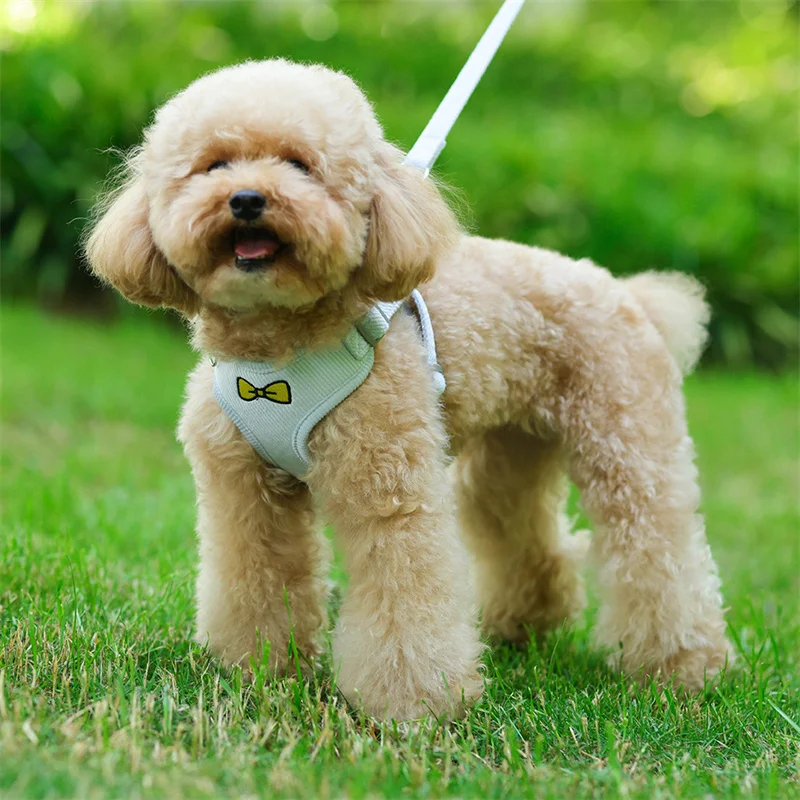 Juego de arnés y correa supersuave para perros pequeños, arnés ajustable para mascotas, Chihuahua, Yorkshire, Pug, arnes, pequeño - imagen 2