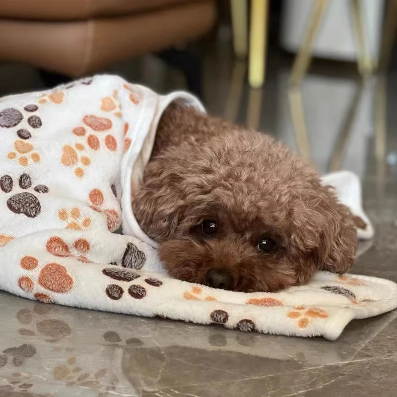 Manta suave y esponjosa para mascotas, cubiertas cálidas para alfombrillas para perros, Sábana bonita para cachorros, mantas cómodas de felpa para gatos, suministros para mascotas, Invierno - imagen 4