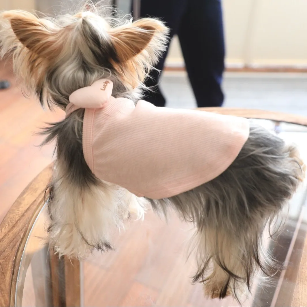 Pet primavera amor correa pequeña primavera colgante cuello chaleco pequeño perro gato Teddy Top ropa para perros para ropa de cachorro