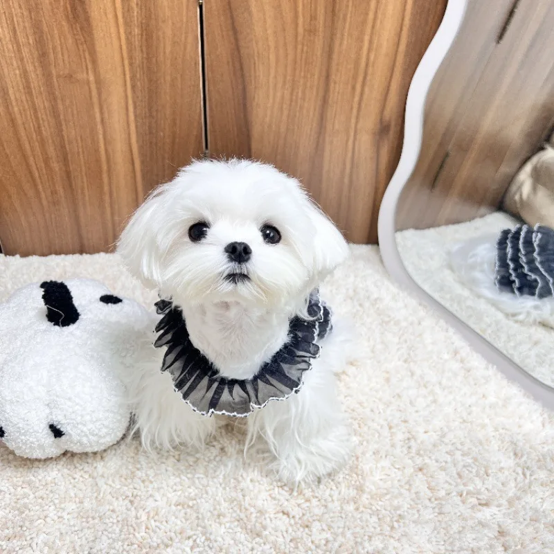 Vestido de punto para otoño/invierno para mascotas, suéter para gatos, falda abombada de peluche Yorkshire, ropa para cachorros, ropa para perros pequeños - imagen 2