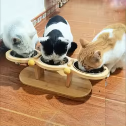 Cuencos acero inoxidable con soportes inclinados para gatos y perros