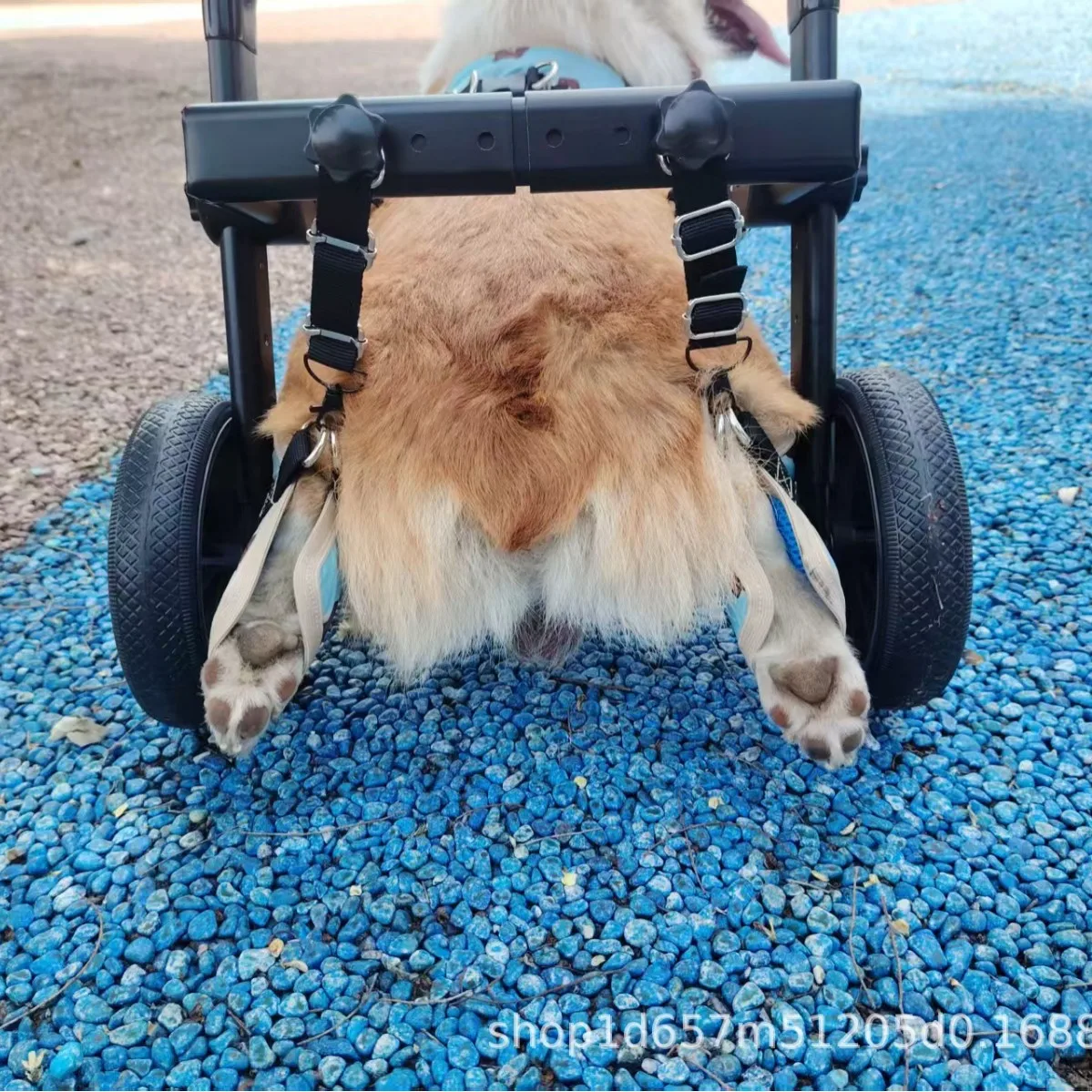 Nueva silla de ruedas para perros, silla de ruedas para gatos, mejora retráctil, ligera, asistencia para mascotas, actualización de coche, suministros para perros - imagen 3