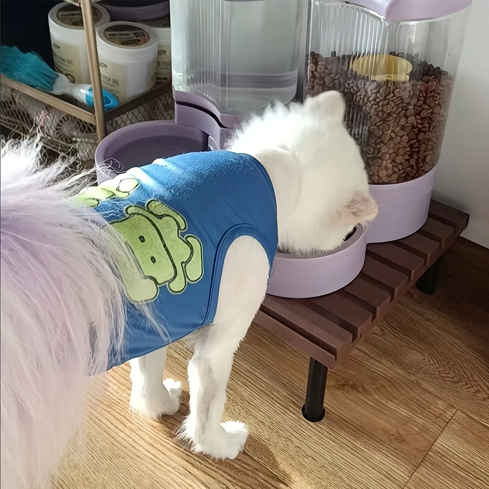 Soporte de alimentación para gatos de altura fija, soporte de plástico para platos para mascotas, estación de alimentación protege el cuello de mascota para perros y gatos, estera interior para mascotas, 1 ud. - imagen 2