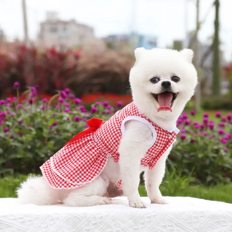 Falda a cuadros para perro y gato, vestido con lazo para cachorro y gatito, ropa a rayas para mascotas, vestidos para perros de oso de peluche Bichón - imagen 3