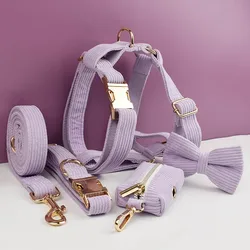 Conjunto collar y correa para perros de pana con placa grabada