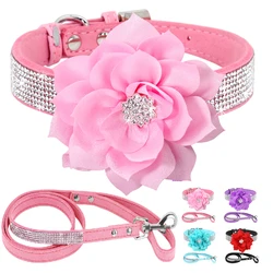 Collar de cuero con diamantes y correa para Chihuahua - Tallas XS a L