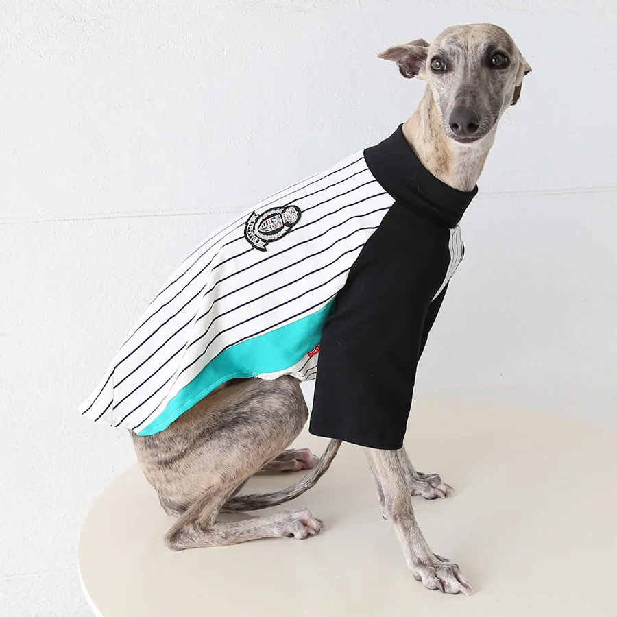 Camiseta transpirable vintage para galgo italiano y whippet verano - imagen 3