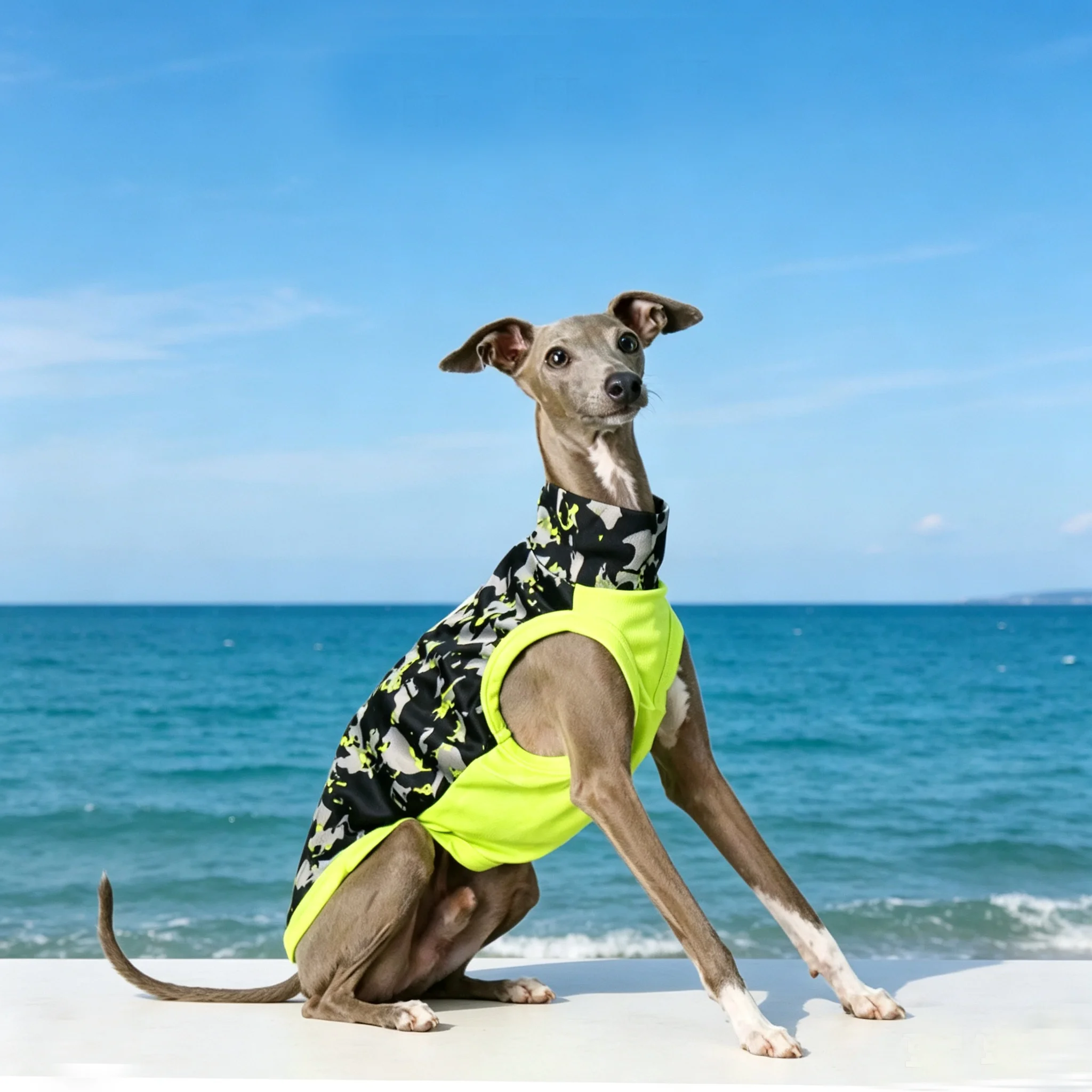 Chaleco de verano para Whippet y Galgo Italiano, secado rápido - imagen 2