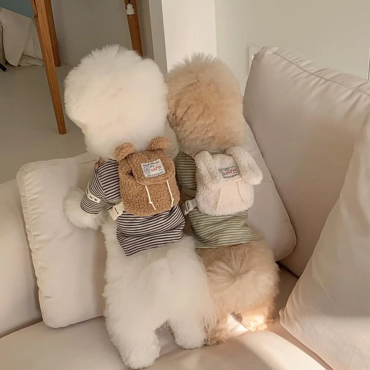 Mochila de felpa bonita Ins para salida de mascotas, portador multiusos para cachorros, perros pequeños y gatos, con bolsa para recoger caca, bolsillos para aperitivos, suministros para mascotas