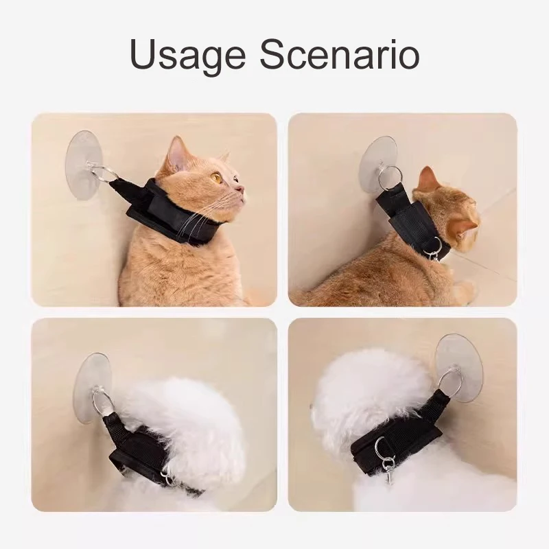Collar ajustable con ventosa para bañar gatos y perros pequeños - imagen 2