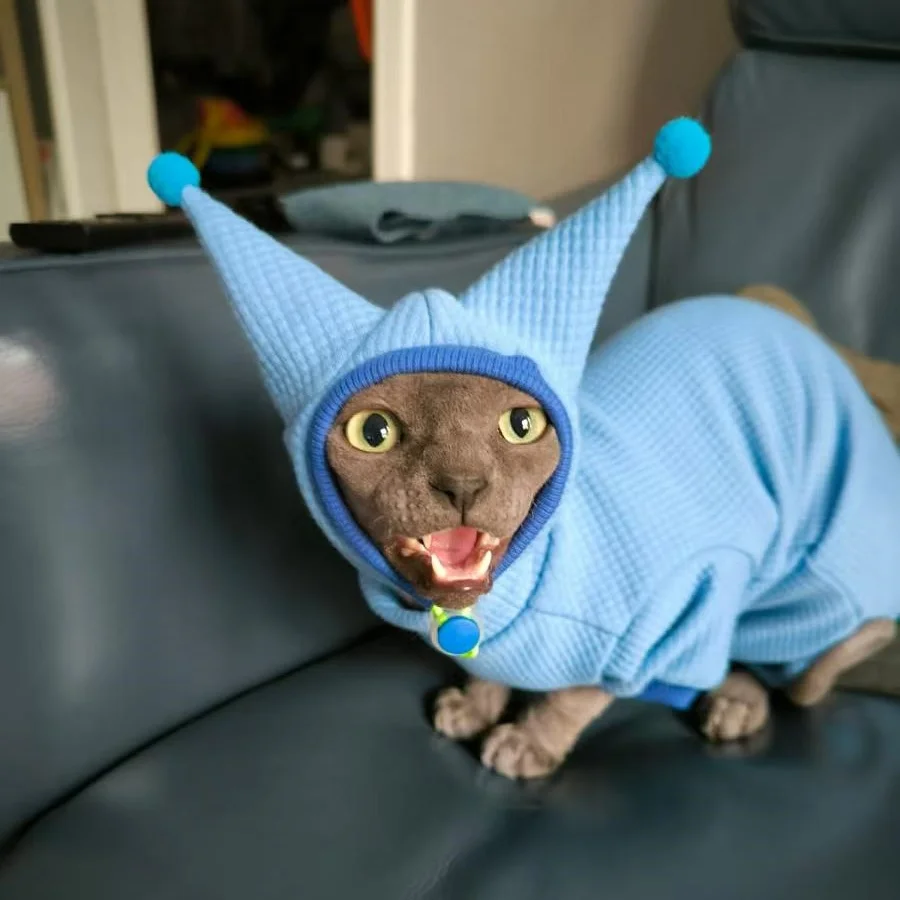 Sudadera Waffle Sombrero Traje para Sphynx Cat Invierno Cálido Negro Azul Rosa Abrigo para Gatitos Primavera Chaqueta gruesa suave para Devon Rex - imagen 3