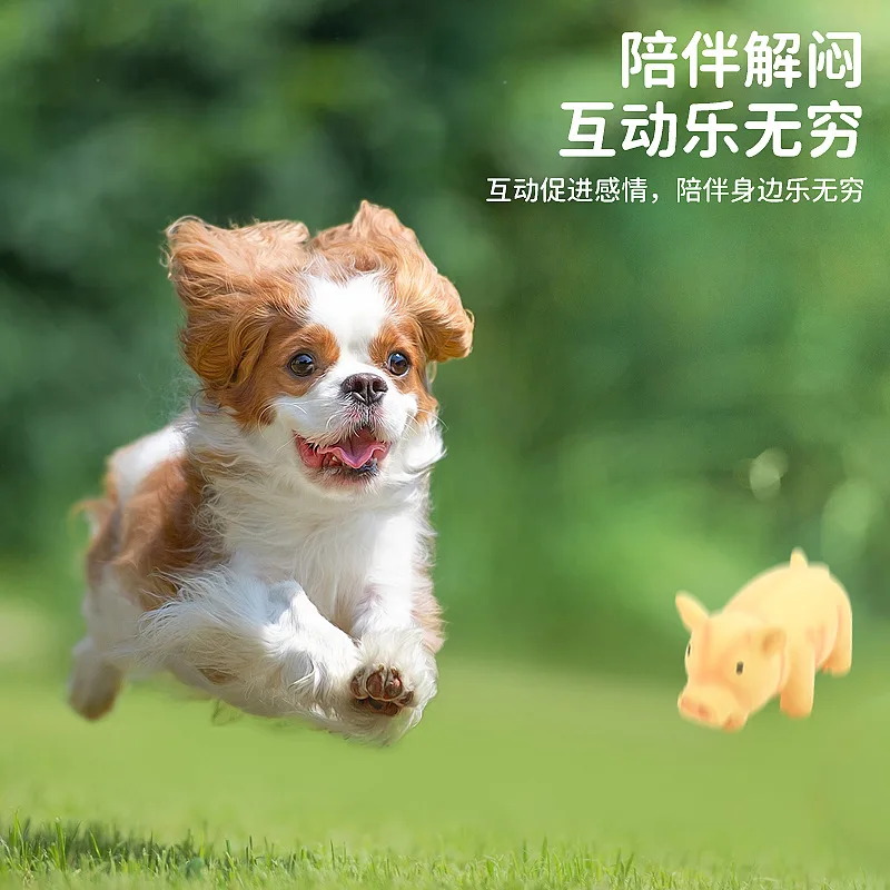 Juguete masticable sonoro de cerdo para perros – Diversión - imagen 4