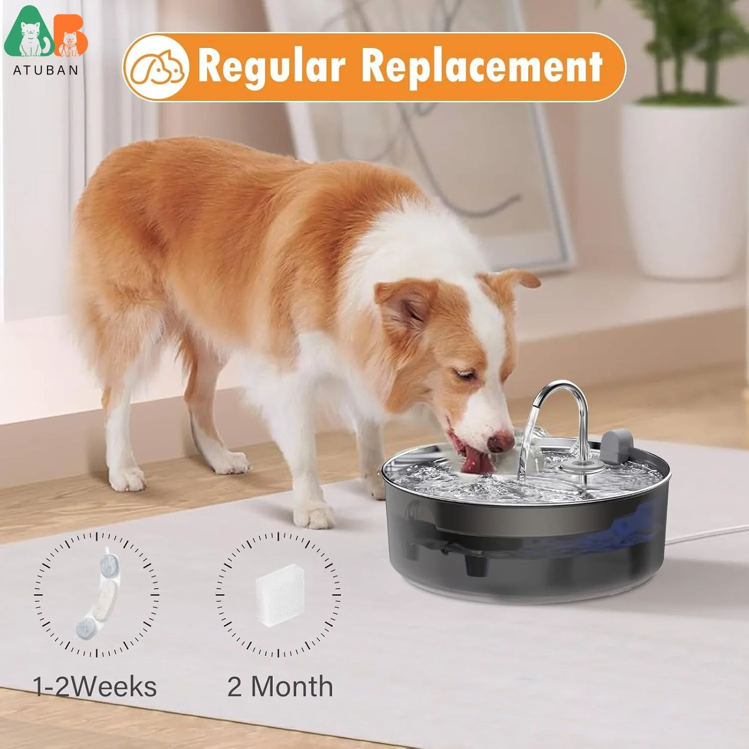 Filtros de repuesto para fuente de agua para perros de acero inoxidable smartoo, 7L/236oz, dispensador de cuencos de agua para perros grandes, filtros y esponjas - imagen 5