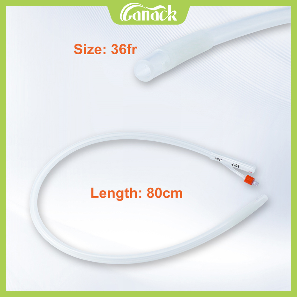 Catéter en uso para inseminación equina