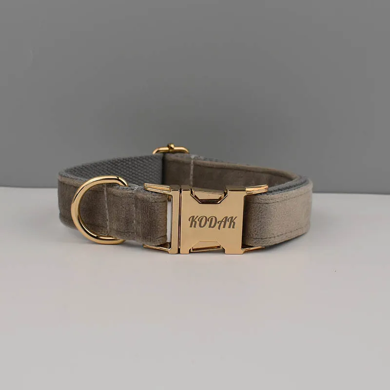 Dog collar12