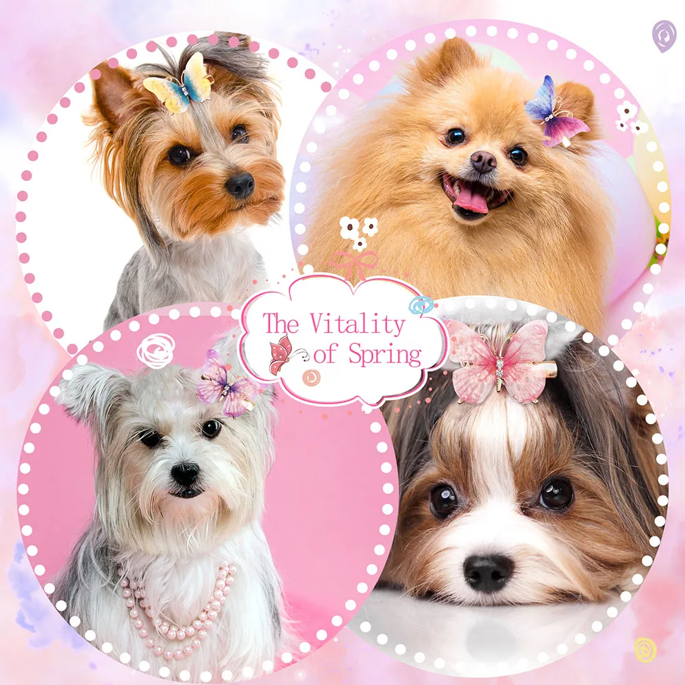 Pinzas mariposa metálicas para pelo de perro – Accesorios - imagen 3