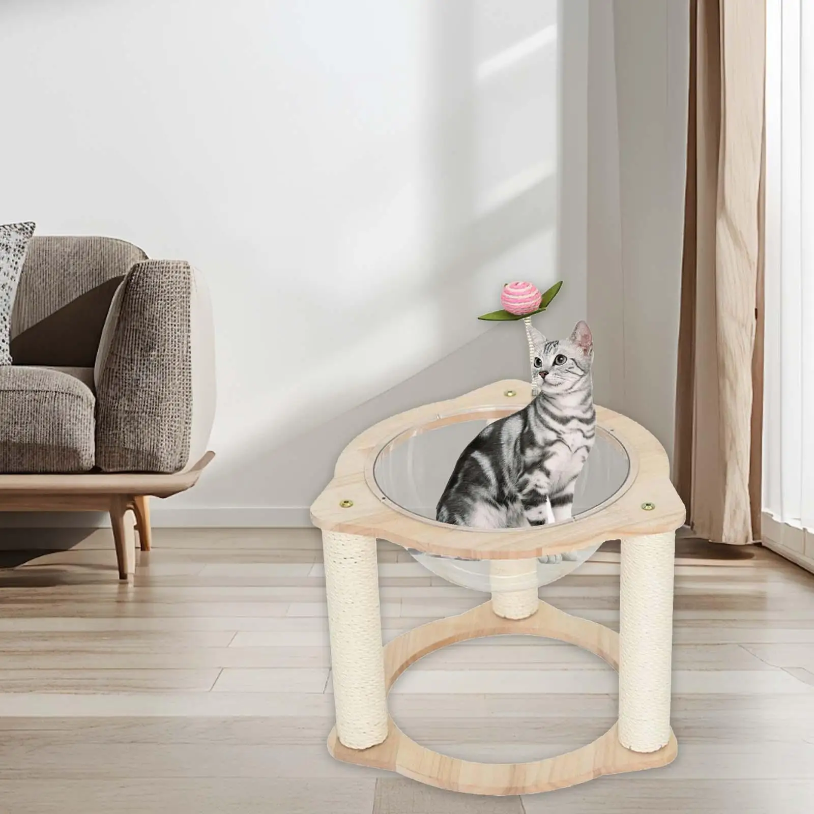 Cama de cápsula espacial para gatos, Centro de Actividades para dormir, jugar y descansar, nido para mascotas pequeñas, cama para gatitos, cumpleaños de mascotas - imagen 3
