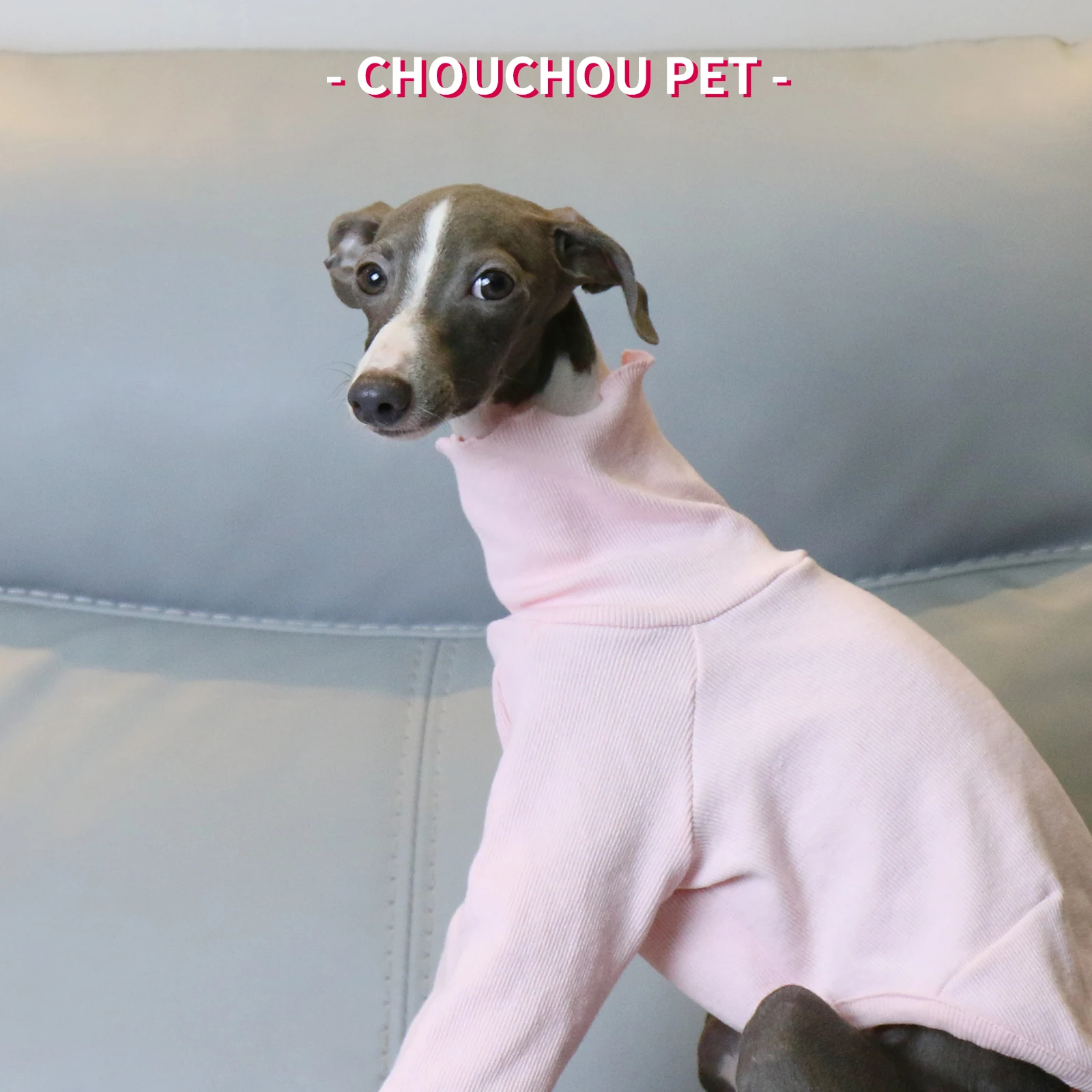 Ropa italiana de galgo rosa, suave, elástica, bonita, Whippet, dos patas de salida, ropa para perros - imagen 5