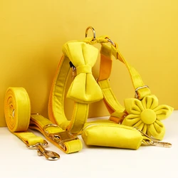 Collar y correa para perros de terciopelo amarillo – Placa grabada