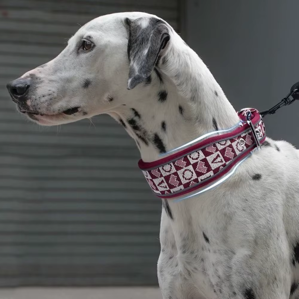 Collar ancho para perros grandes - estilo vintage - imagen 4