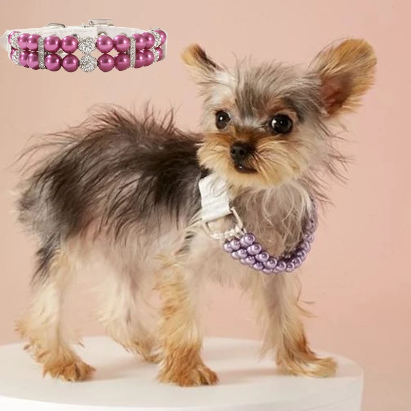 Conjunto de Collar y correa para perro y gato, accesorios para mascotas, Collar de PU y perlas para perros, suministros para mascotas, suministros para gatos - imagen 4